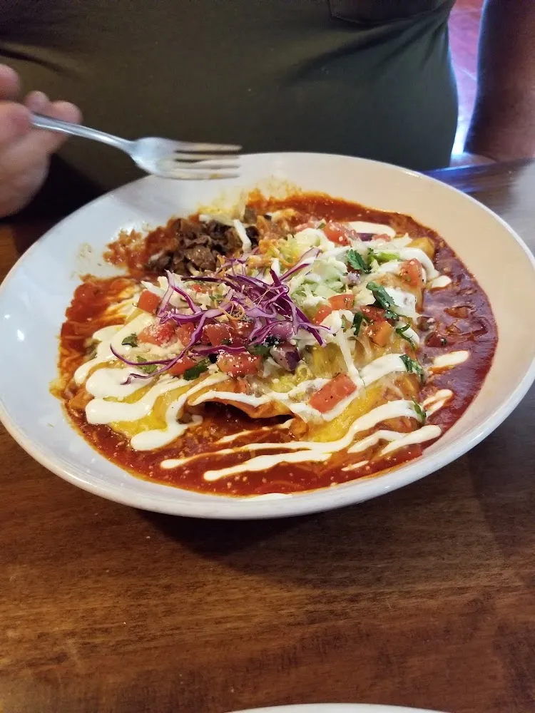Carne Asada Enchiladas